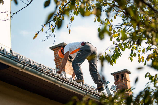 Best Residential Roofing Contractor  in Corvallis, MT