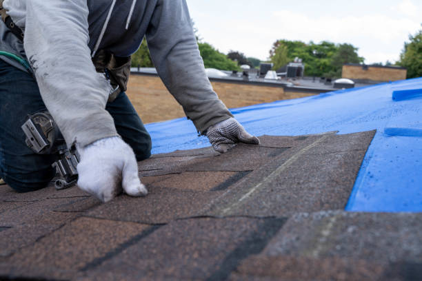 Best Roof Gutter Cleaning  in Corvallis, MT