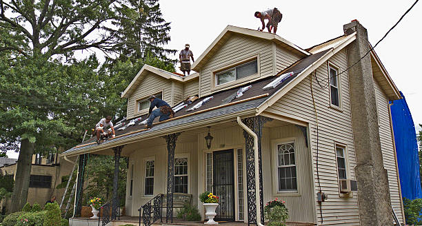 Best Residential Roofing Contractor  in Corvallis, MT
